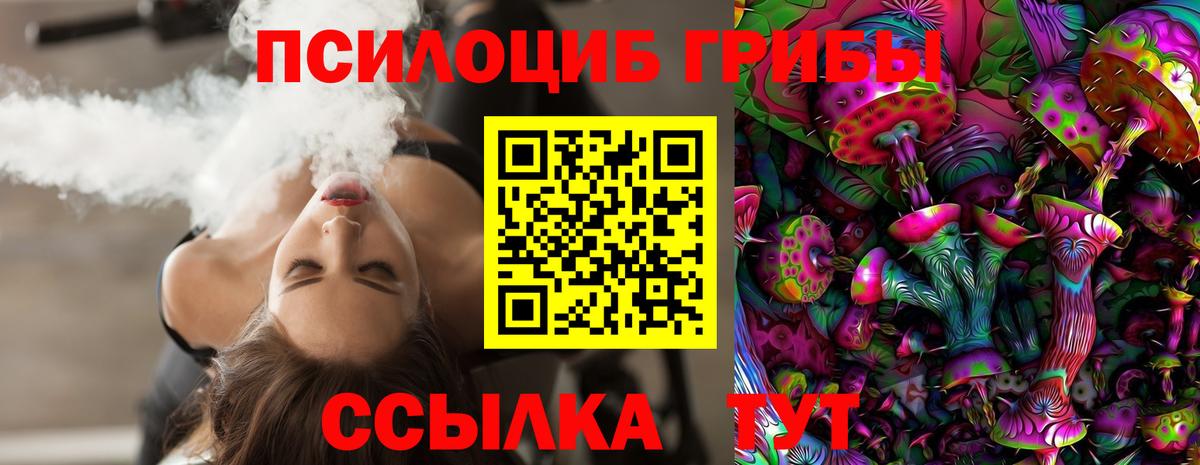 Галлюциногенные грибы GOLDEN TEACHER  где найти   Вход с VPN  Великий Устюг  Псилоцибиновые грибы Psilocybine cubensis 